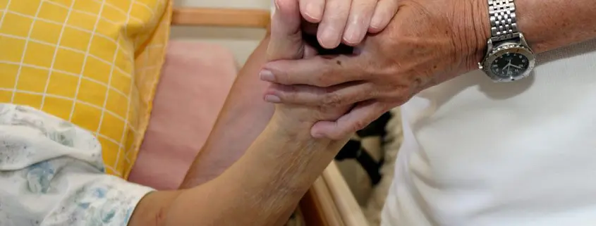 antiescaras como prevenir